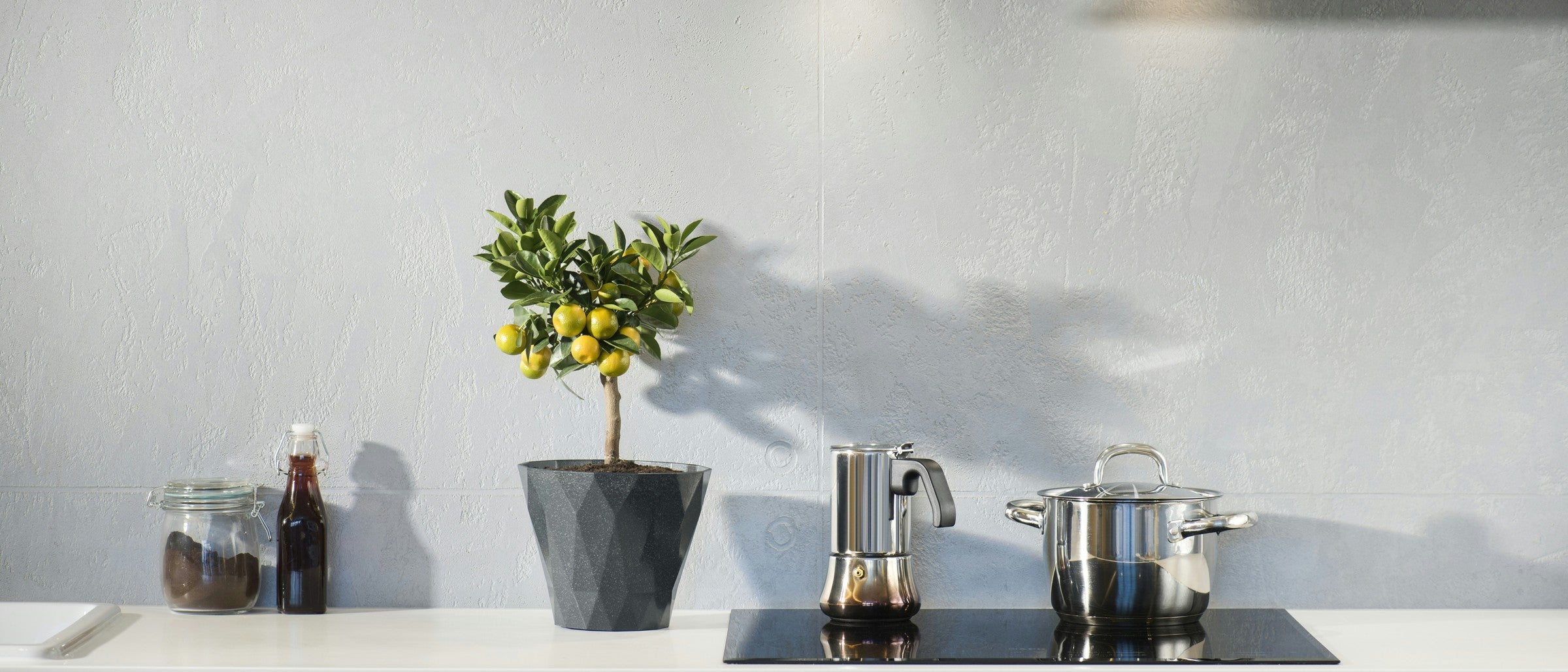 Curated Picks for Modern Kitchens